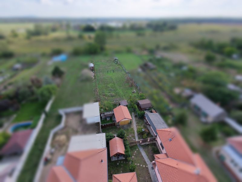 249406.jpg